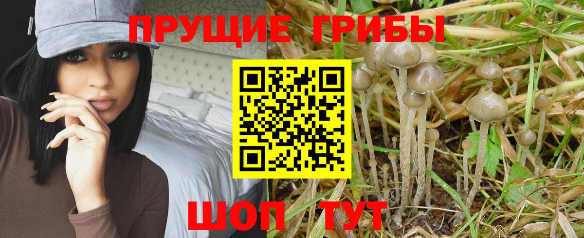 Шахты  Галлюциногенные грибы ЛСД  Псилоцибиновые грибы ЛСД  Вход с VPN 